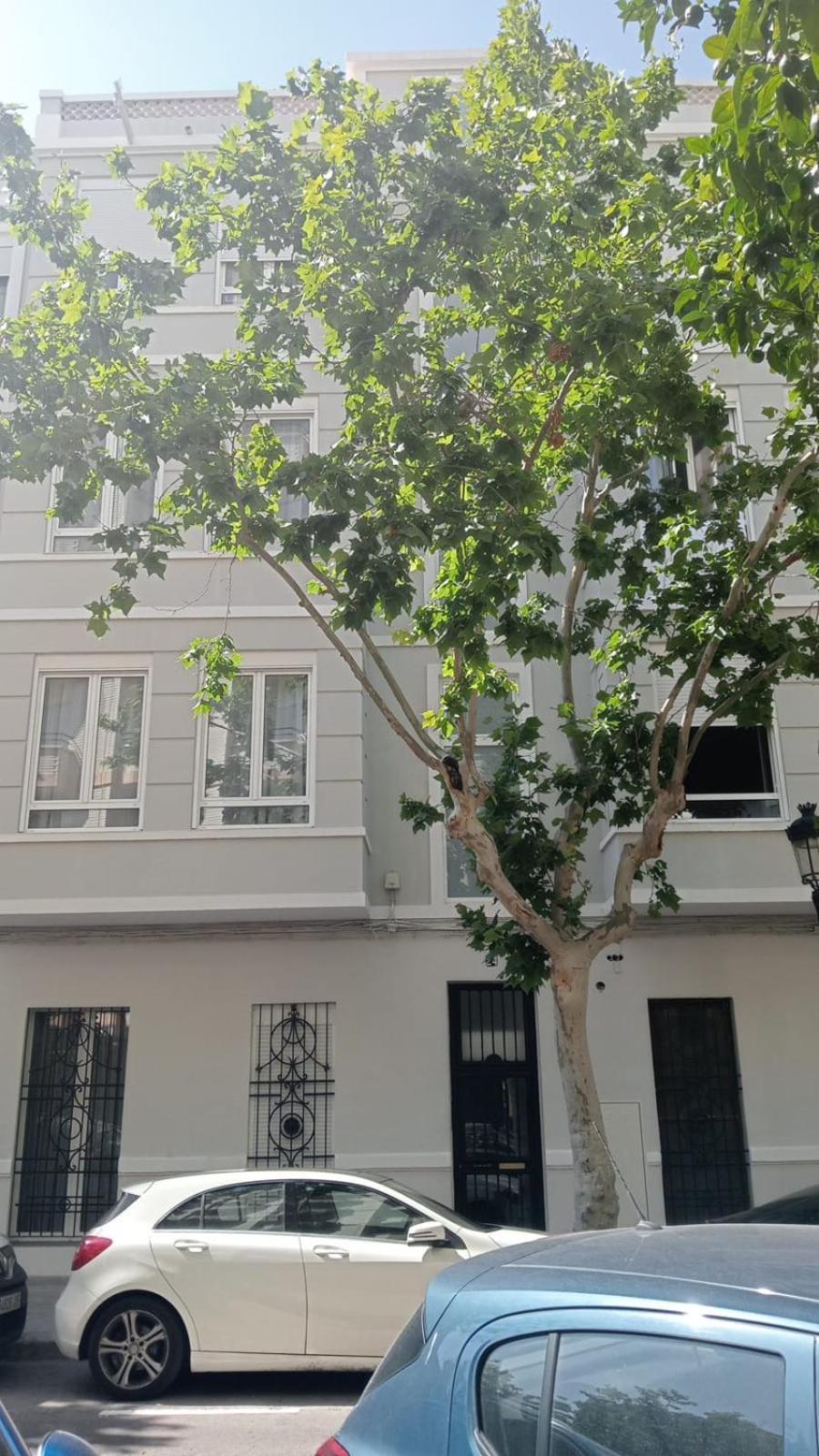 Florit Flats - The Patraix Apartments Valencia Exterior photo
